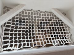 アスレチックネット